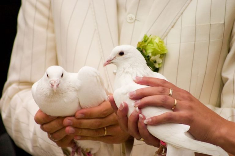 Paar hält Hochzeitstauben in der Hand