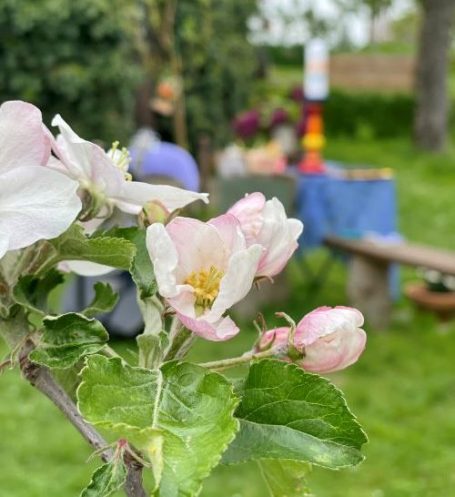 Willkommensfeier im Frühling im Garten